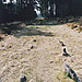 <b>Fernworthy stone row (North)</b>Posted by stewartb