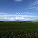 <b>Cherhill Down and Oldbury</b>Posted by thesweetcheat