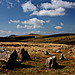 <b>Hart Tor</b>Posted by GLADMAN