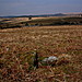 <b>Gutter Tor Cist</b>Posted by GLADMAN