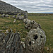 <b>Cairn S</b>Posted by ryaner