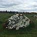 <b>Cairn X1</b>Posted by ryaner