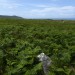 <b>Porthmeor (Treen Common)</b>Posted by thesweetcheat