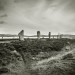 <b>Ring of Brodgar</b>Posted by A R Cane