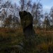 <b>Gardoms Standing Stone</b>Posted by thesweetcheat