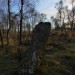 <b>Gardoms Standing Stone</b>Posted by thesweetcheat