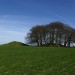 <b>Avebury Down</b>Posted by thesweetcheat