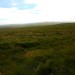 <b>Buttern Hill Stone Circle</b>Posted by GLADMAN