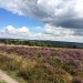<b>Stanton Moor South</b>Posted by ruskus