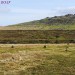 <b>Merrivale Stone Circle</b>Posted by Meic