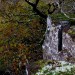 <b>Pen-y-Castell, Maenan</b>Posted by GLADMAN