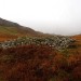 <b>Cairn, upon a woodland saddle</b>Posted by GLADMAN