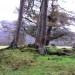 <b>Newtonmore</b>Posted by drewbhoy