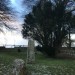 <b>Churchyard Stones</b>Posted by ryaner