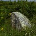 <b>Boskednan Cairn</b>Posted by thesweetcheat