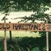 <b>Old Harestanes</b>Posted by postman