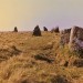 <b>Ringmoor Cairn Circle and Stone Row</b>Posted by ironstone