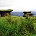 <b>The Doubler Stones</b>Posted by moey