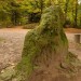 <b>Triscombe Stone</b>Posted by thesweetcheat