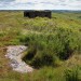 <b>Old Bewick Hillfort</b>Posted by postman