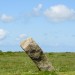 <b>Trippet Stones</b>Posted by RoyReed