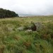 <b>Old Bewick Cairn</b>Posted by costaexpress