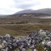 <b>Kyle of Durness</b>Posted by Nucleus