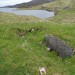 <b>Ardvreck</b>Posted by Nucleus