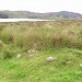 <b>Loch Benachally</b>Posted by drewbhoy