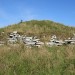 <b>Tiantulloch</b>Posted by LesHamilton
