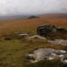 <b>White Tor Stone Row</b>Posted by GLADMAN