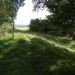 <b>Norbury Camp (Upper Coberley)</b>Posted by thesweetcheat