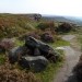 <b>Curbar Edge</b>Posted by thesweetcheat