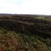 <b>Old Bewick Hillfort</b>Posted by thesweetcheat