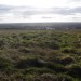 <b>Roundway Hill</b>Posted by thesweetcheat