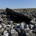 <b>Carn Menyn Chambered Cairn</b>Posted by thesweetcheat