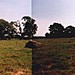 <b>Long Meg & Her Daughters</b>Posted by Moth