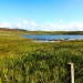 <b>Upper Loch Bornish</b>Posted by drewbhoy