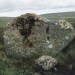 <b>Tregeseal Holed Stones</b>Posted by Chris Bond