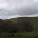 <b>Burcombe Hill</b>Posted by formicaant