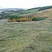 <b>Caerlee Hill Fort</b>Posted by Martin