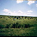 <b>Yellowmead Multiple Stone Circle</b>Posted by greywether