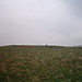 <b>Hambledon Pasture</b>Posted by treehugger-uk