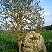 <b>The Hoar Stone (Duntisbourne Abbots)</b>Posted by notjamesbond