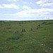 <b>Corringdon Ball Stone Row</b>Posted by dude from bude