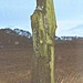 <b>Kirklandhill Standing Stone</b>Posted by Joolio Geordio