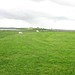 <b>The Standing Stones of Stenness</b>Posted by Moth