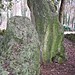 <b>The Hoar Stone</b>Posted by Jane