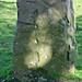 <b>Cambridge Standing Stone</b>Posted by Martin