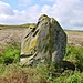 <b>The Cow Stone</b>Posted by Martin